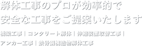 解体工事のプロが効率的で安全な工事をご提案いたします 橋梁工事｜コンクリート解体｜伸縮装置取替工事｜アンカー工事｜鉄骨鋼構造物解体工事